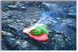 Game hen cooking on molten lava